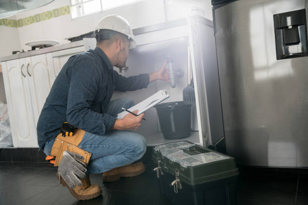 Best Local Plumber Services  in La Vergne, TN